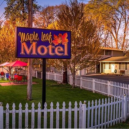 Maple Leaf Motel Shady Cove Eksteriør bilde