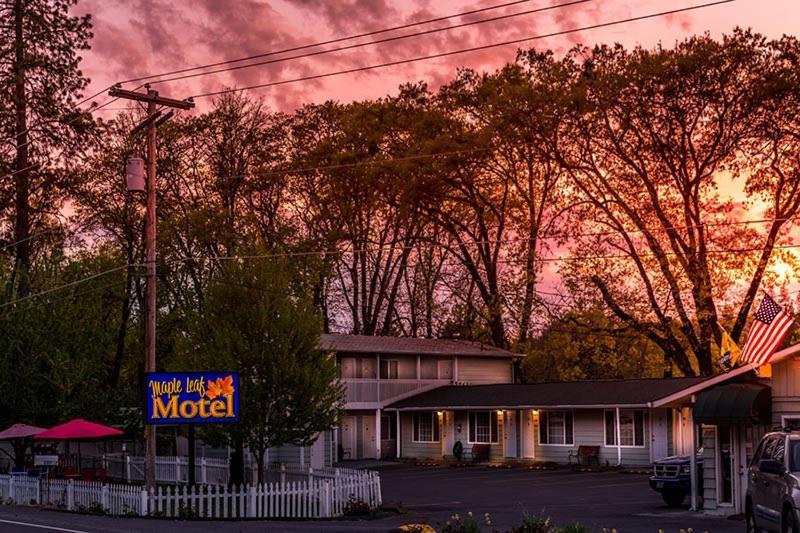 Maple Leaf Motel Shady Cove Eksteriør bilde